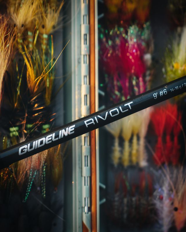 Guideline Rivolt Fluestang